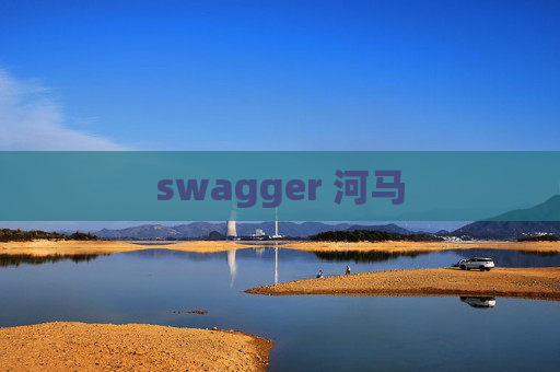 swagger 河马